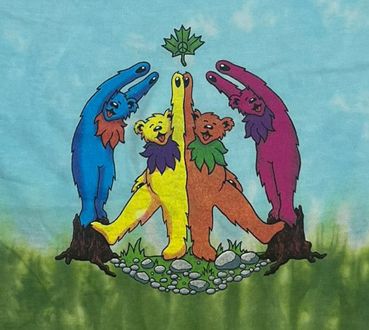 Grateful Dead Youth Daydream Bears Tie Dye Cotton Shirt