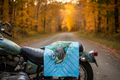 Grateful Dead Long Sleeve Vermont Biker Tie Dye T-Shirt - Zoomed