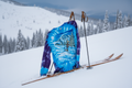 Grateful Dead Powderman Skiing Skeleton Long Sleeve Tie Dye
