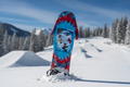 Grateful Dead Snowboard Bears Tie Dye Shirt